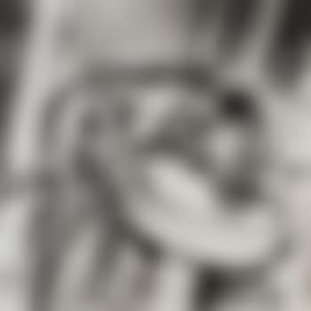 Untitled II, Hollywood (preview)