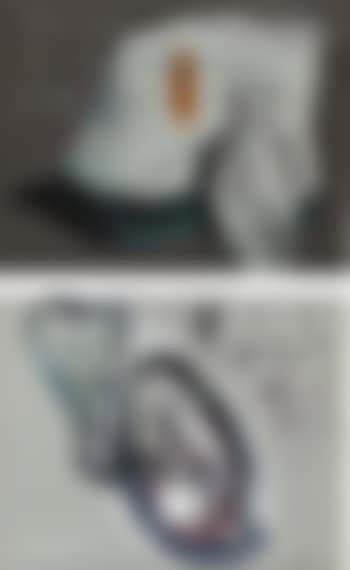 Artist's Shadow Falling on a Work of Art. Flussi, Flussi, Appear! (preview)