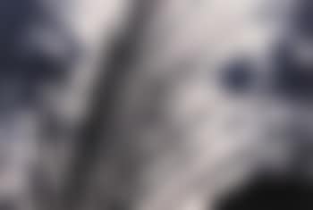 Untitled (Tiger, Bursting) (preview)