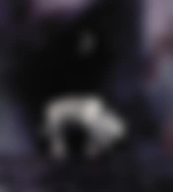 Untitled (Mauerbild II) by Walter Dahn (preview)