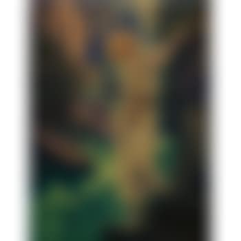 The Canyon (preview)