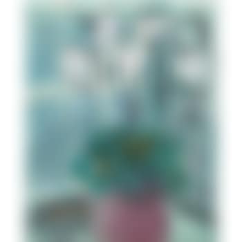 Vit Cyklamen (White Cyclamen) (preview)