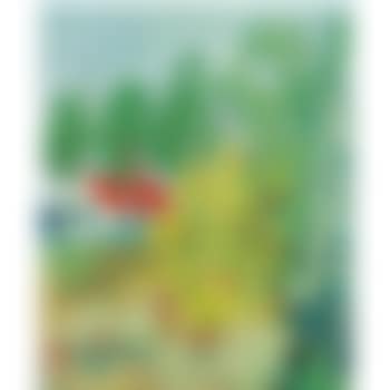 Sommardag Koster (Summer's Day In Koster) (preview)