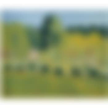 Blommer Och Grönska (Flowers) (preview)