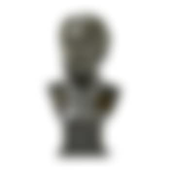 A Bust Of Sir Andrew Clarke (1824-1902) (preview)