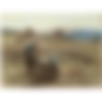 Les Glaneuses (preview)