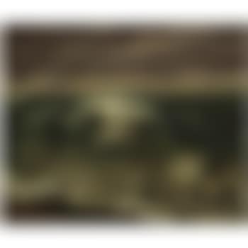 La Vague (preview)
