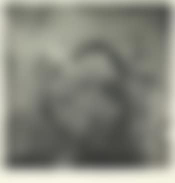 Combat d;Oiseaux (preview)