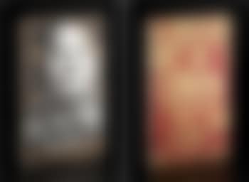 Mao/The Savage World (preview)