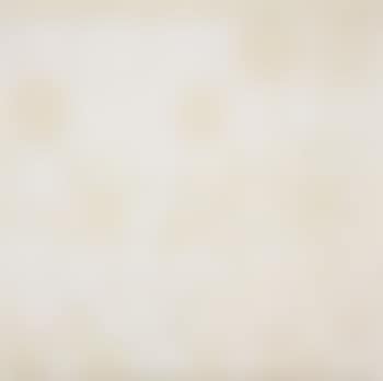 White Pony (preview)