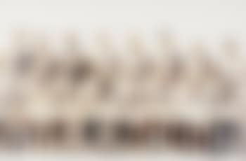 Team. (Pictures of Chocolate series) (preview)
