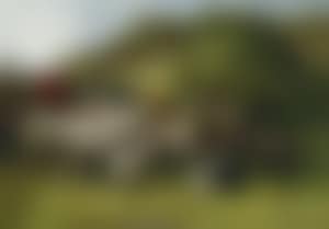 Schapen en kippen bij het hek (preview)