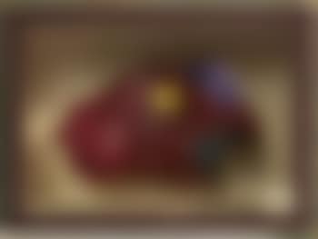 Coq de roche (preview)