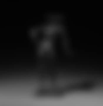 Le Minotaure (preview)