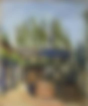 Hof mit Weinbutten (preview)