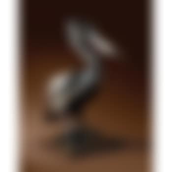 Pélican (preview)