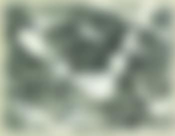 Littenheid (preview)