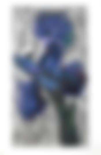 Dutch Iris (preview)