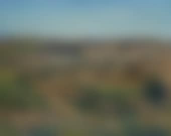 Jerusalem, seen from Mount Scopus (preview)