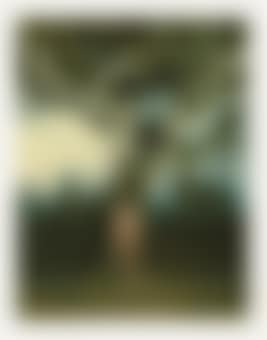 Tied to my big tree in Ramatuelle (preview)