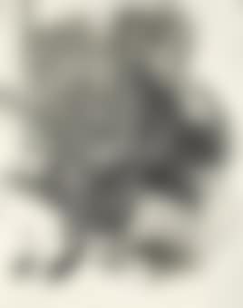 Fossil Whale (first state), from Moby Dick Engravings (preview)