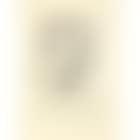 Tete De Jeune Garçon. Masque (D. 773) (preview)