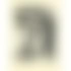 Bedouine Au Large Visage (D. 780) (preview)