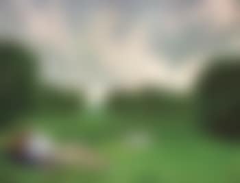 The stroller's rest (preview)