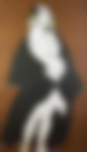 Hommage to Picasso (preview)