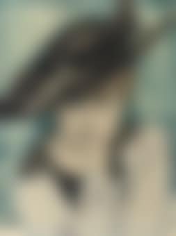 Vrouw met zwarte hoed: a lady with a black hat (preview)