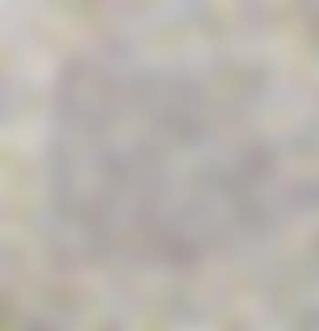 Untitled (Portrait) (preview)