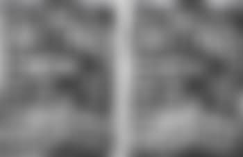 Two works: Untitled (preview)