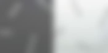 Diptych: Untitled (preview)