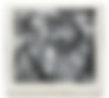 Forbidden Love (preview)