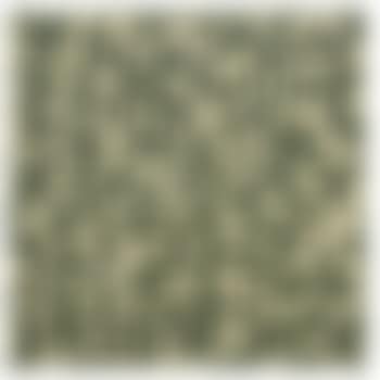 Monogramouflage (preview)