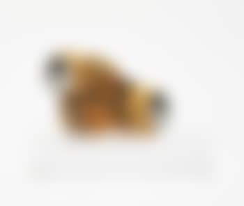Beer Can Penis (preview)