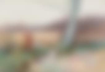 The primrose pickers (preview)