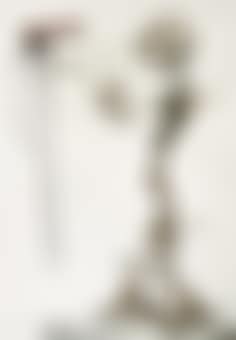 Nasobem (preview)
