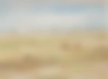 Wimmera Landscape (preview)