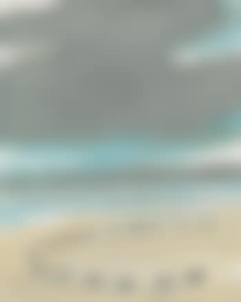 Petite plage des Flandres (preview)