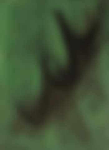T1955-8 (preview)