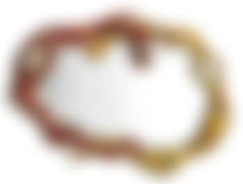 Snake Mirror (preview)