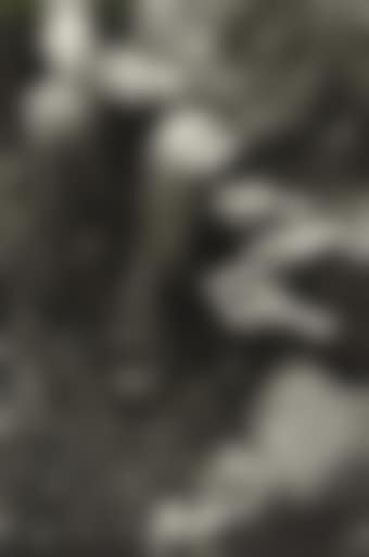 Whittling (preview)
