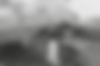 South Carolina (preview)