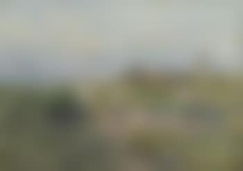 Children playing in the dunes of Katwijk (preview)
