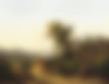 Motivo apresso il lago Trasimeno: a view of lake Trasimeno, Italy (preview)