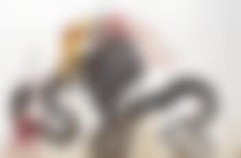 A Little Thought for All Ya'll Who're Thinking of Beating Around the Bush (preview)