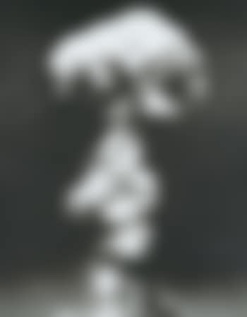 Untitled (Dog Test) (preview)