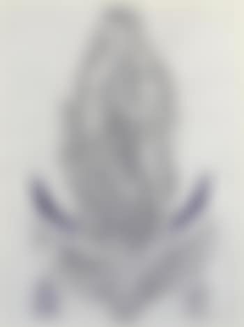 Tattoos for Pig, Madonna (preview)