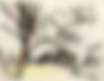 Sketch for Primrose Hill (preview)